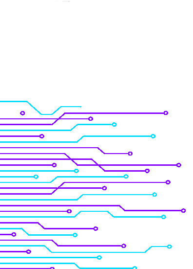 About Wire Speed Systems Academy